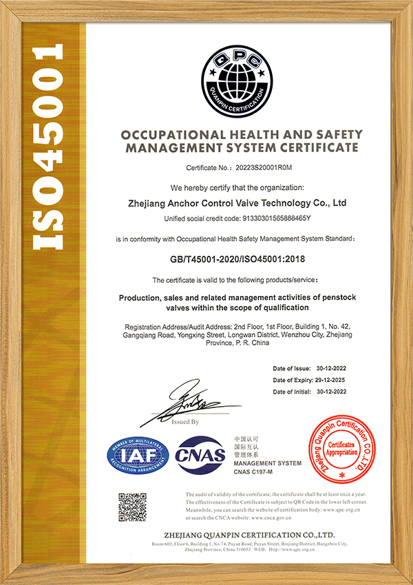 Occupational Health Management System Certificate